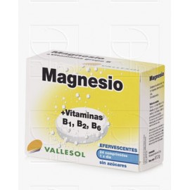 Vallesol eferv magnesio+b 24 comp